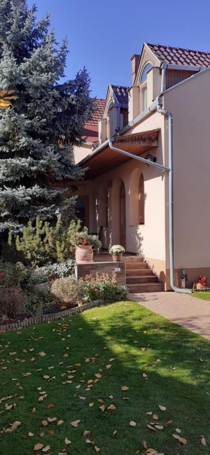 Hotel Kenguru Panzio à Hódmezővásárhely Extérieur photo