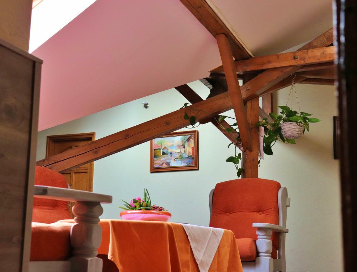 Hotel Kenguru Panzio à Hódmezővásárhely Extérieur photo